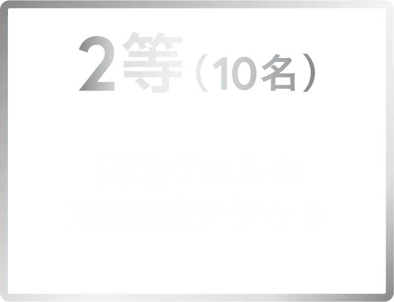 2等 V・ファーレン観戦チケット 10名