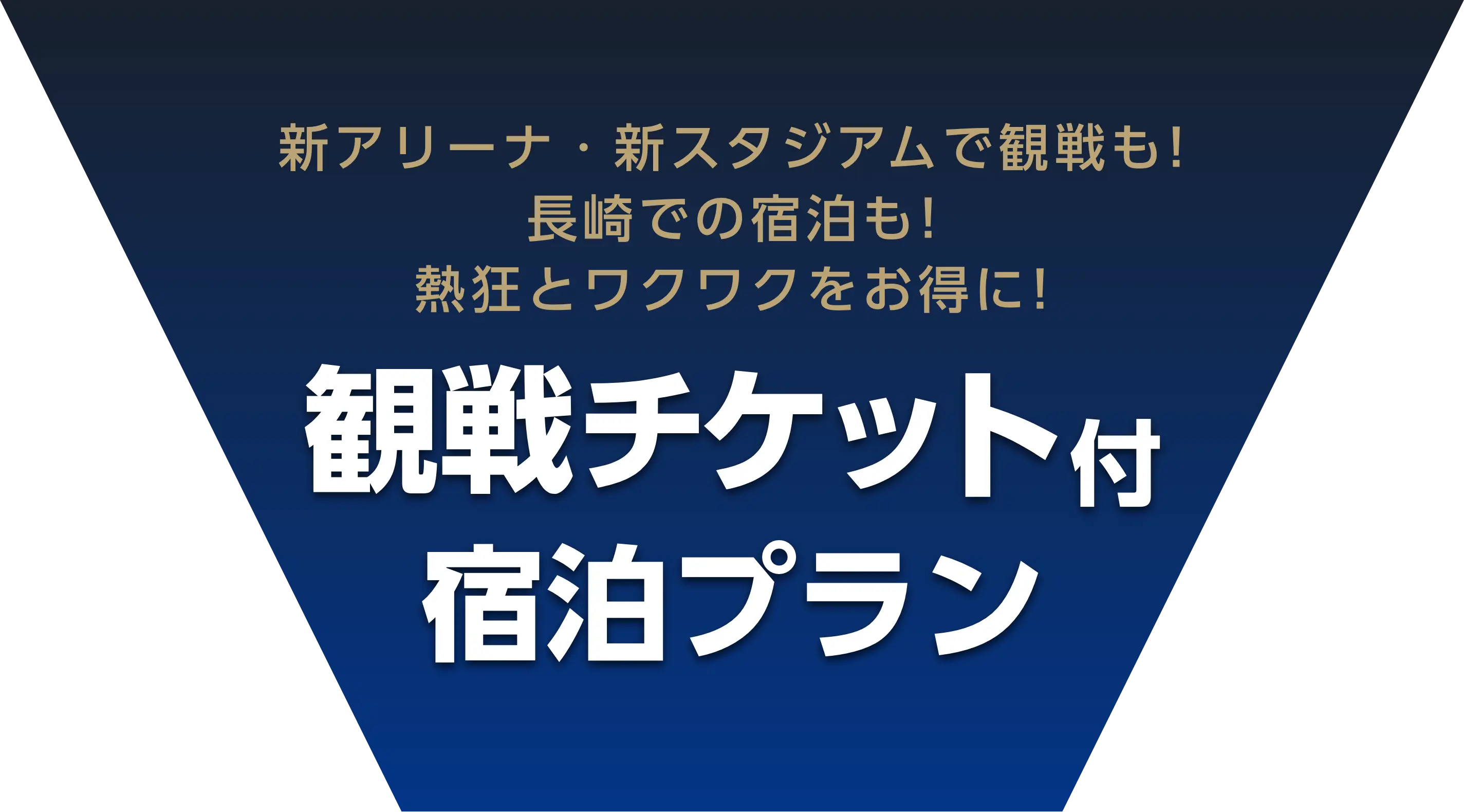 観戦チケット付宿泊プランホテルに泊まって応援しよう！