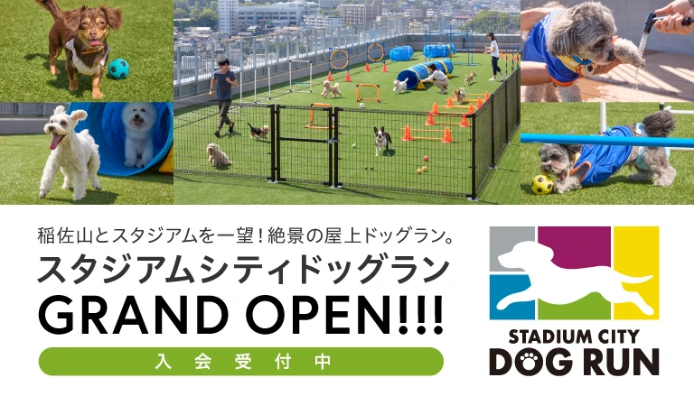 スタジアムシティドッグラン 入会受付中
