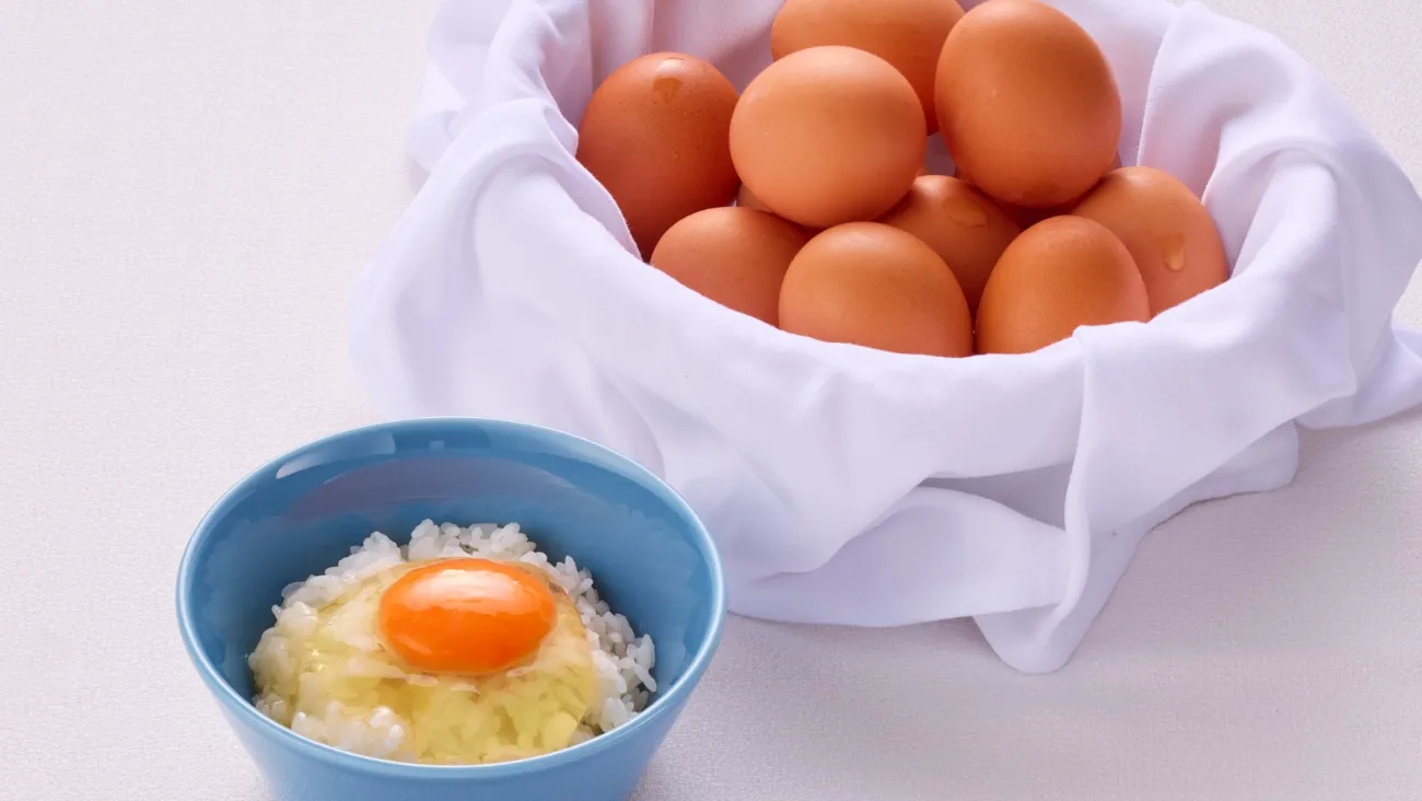 長崎県産ブランド卵「太陽卵」
